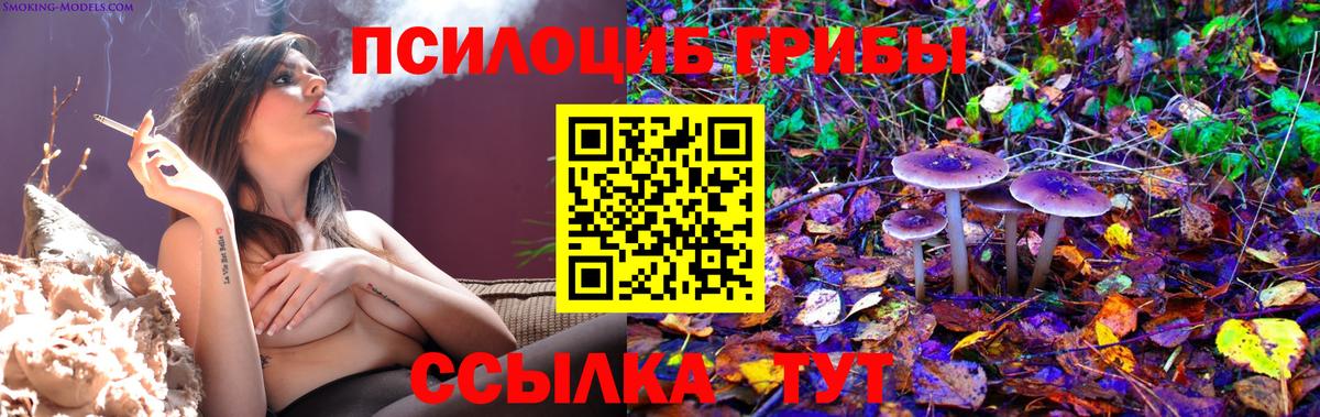 Нарткала  Галлюциногенные грибы GOLDEN TEACHER  Вход с VPN 